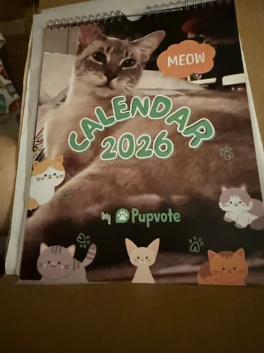 Customer photo review of Official Pupvote Cutest Pets of the Year Calendar (2026)