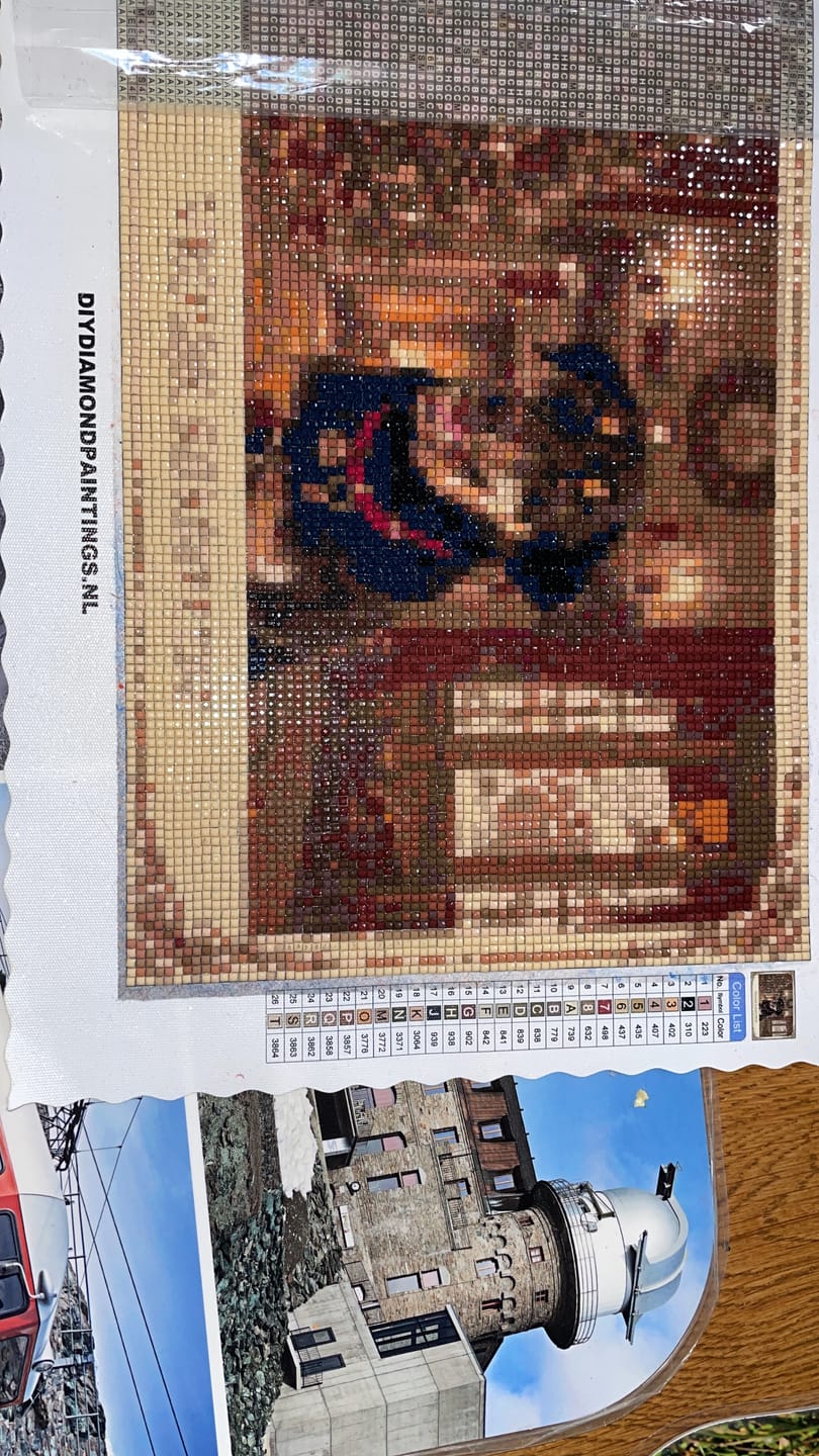 Customer photo review of Diamond Painting Eigen Foto (New)