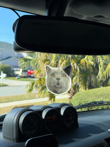Customer's custom air freshener shaped like a cat's head, hanging from a rearview mirror in a car.