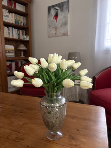 Customer photo review of Tulipes - Blanc (25 Tiges)