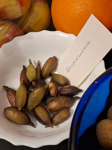 Rezensent zeigt die kleinen, länglichen Bio-Kaviarlimetten in einer weißen Schale.