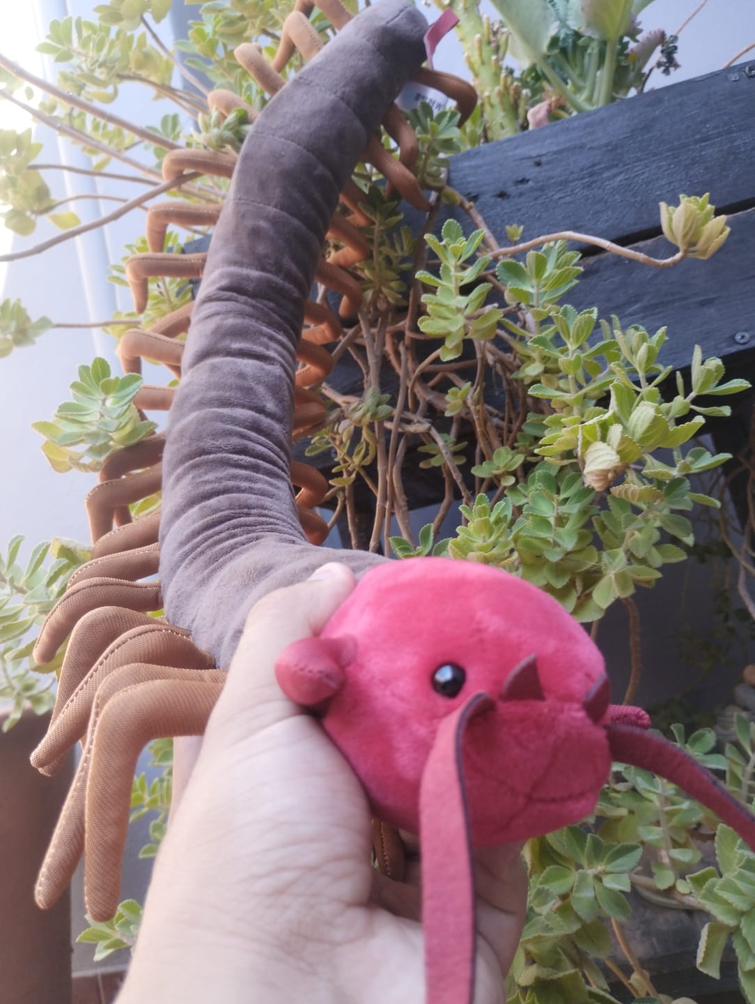 Customer photo review of Chinese Red-Headed Centipede Stuffed Plush Toy
