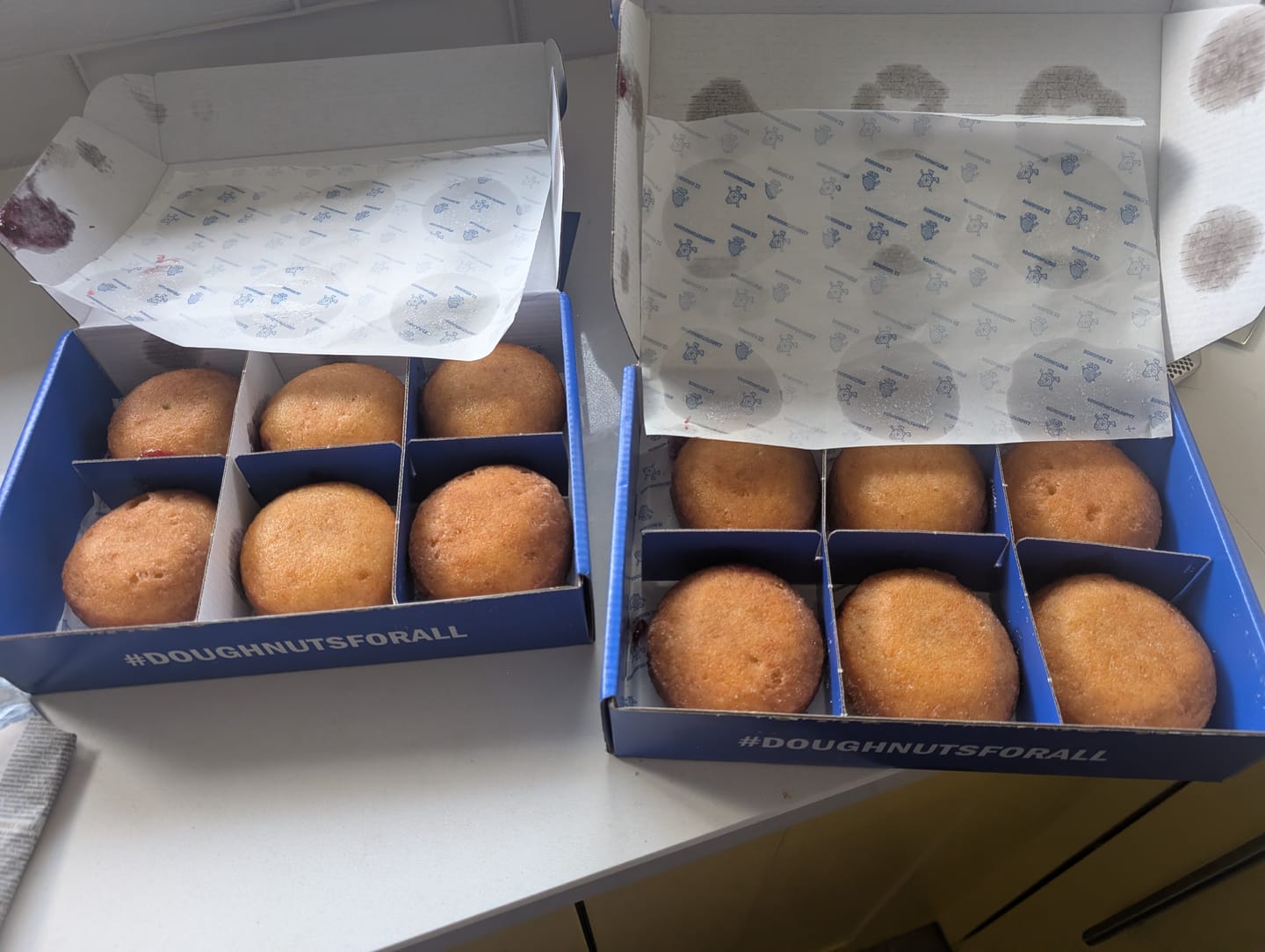 Customer photo review of Yum Yums