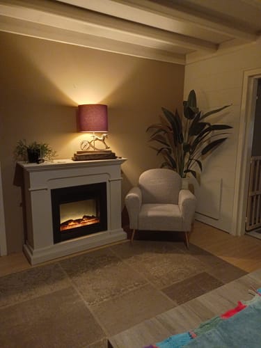 Customer photo review of Strelitzia Kunstplant Met Bloem 160cm