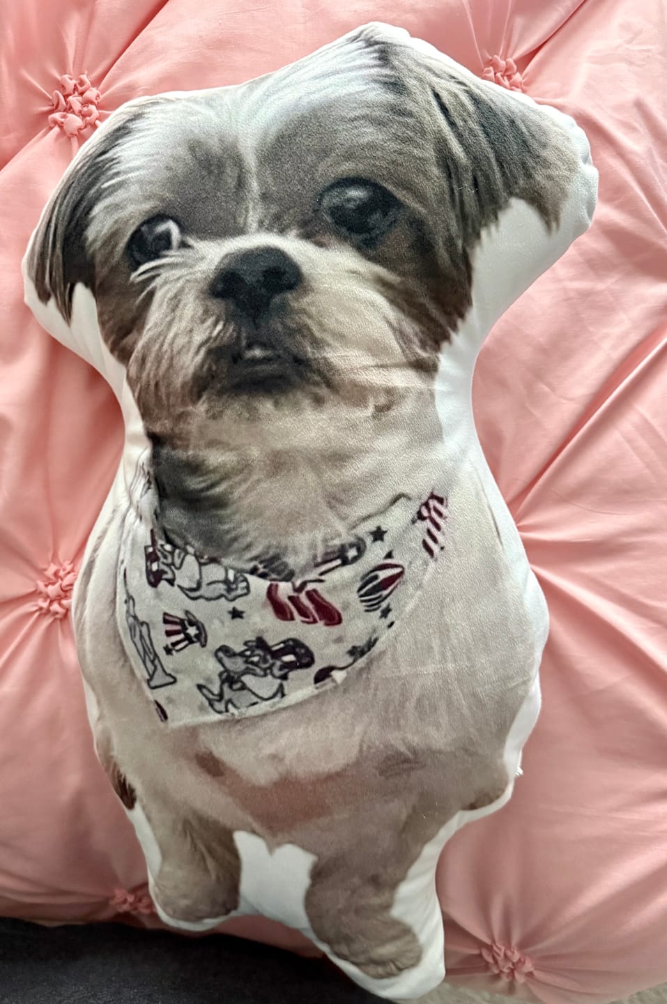 Customer photo review of Pet Pillow Looks Like Your Pet, Customize Dog Shaped Pillow with Pet Photo - ThePetPillow