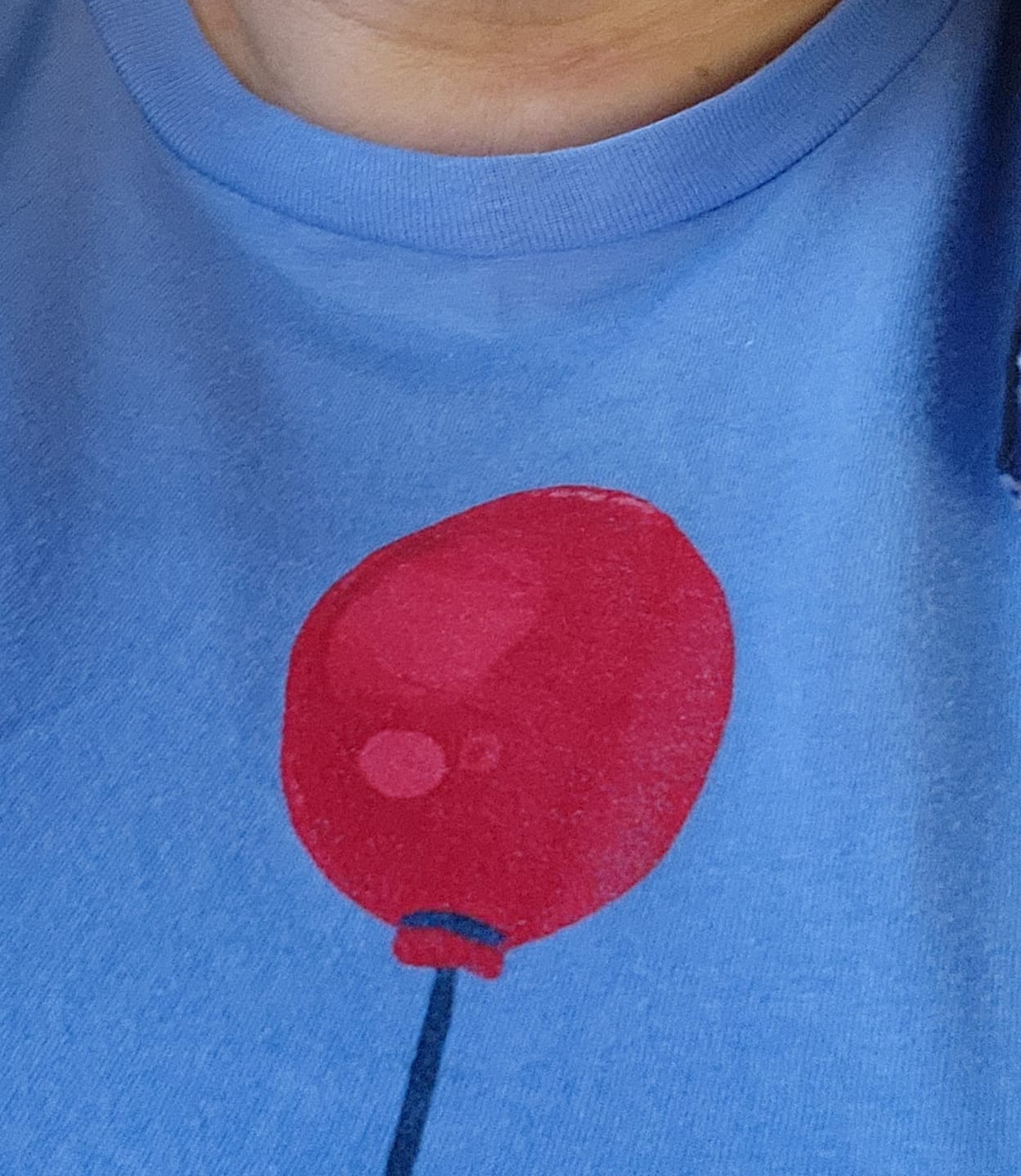 Customer photo review of I'll Fly Again... Softstyle Tee
