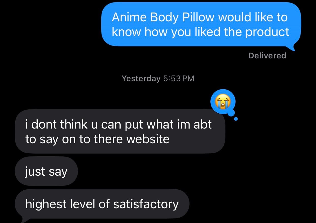 Customer photo review of Mikasa Body Pillow  Mikasa Ackerman