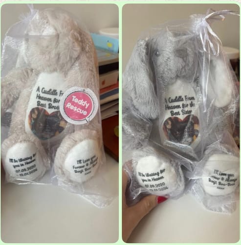 Customer photo review of A Cuddle from Heaven Personalised Photo Teddy Bear