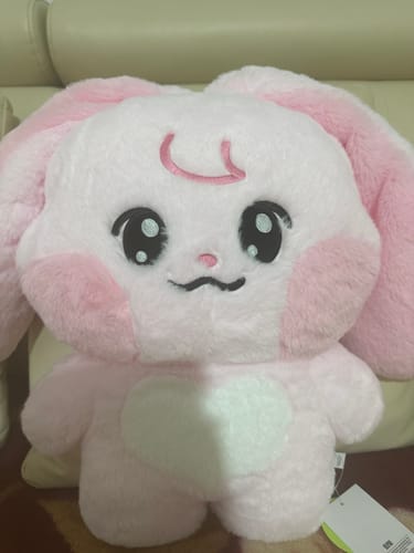 Customer photo review of NCT DREAM Official Dreamiez BIG FLAT CUSHION