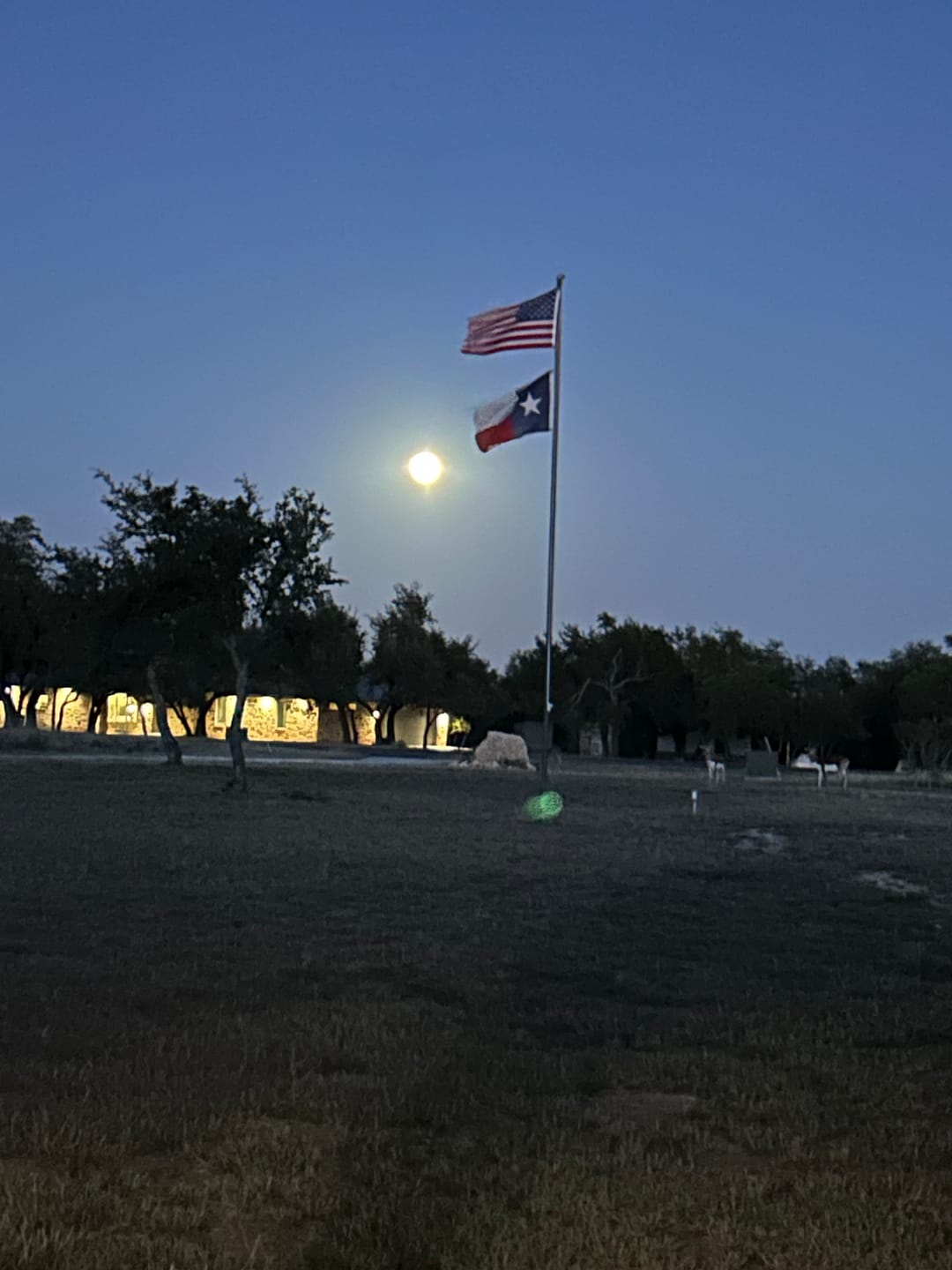 Customer photo review of 3' x 5' Texas Flag