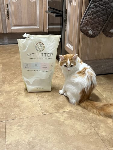 Customer photo review of 1 Month Supply – 2 Cat