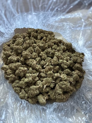 Customer photo review of GMO Mediums - Bulk Mediums - Indica