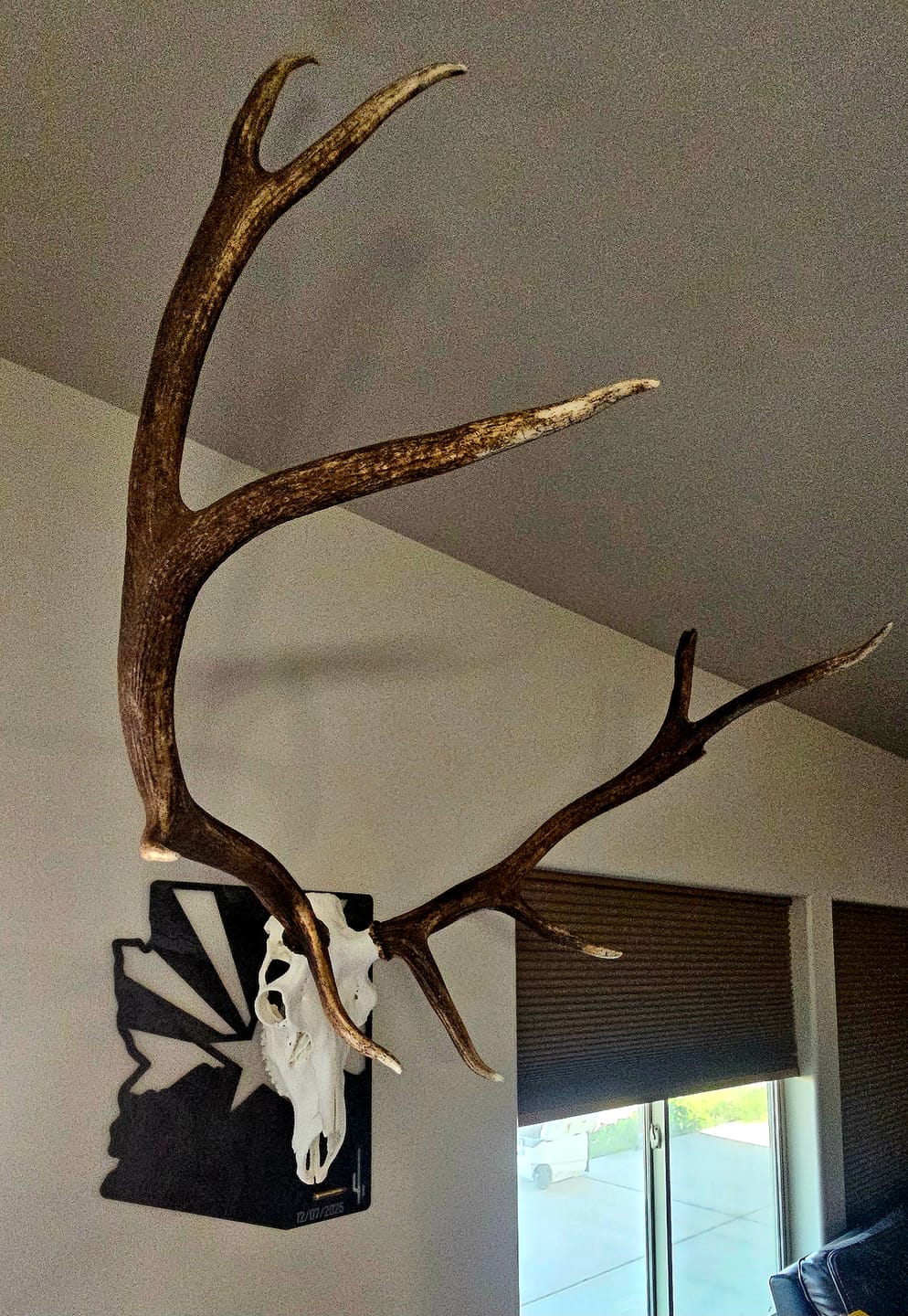 Customer photo review of Large Game Plaques