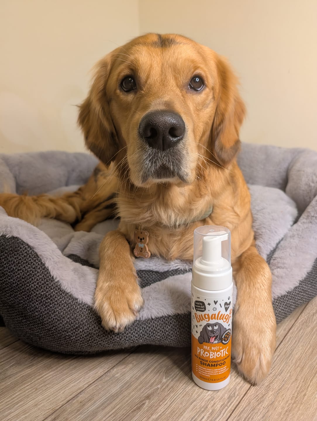 Customer photo review of Pre, Post + Probiotic No Rinse Shampoo
