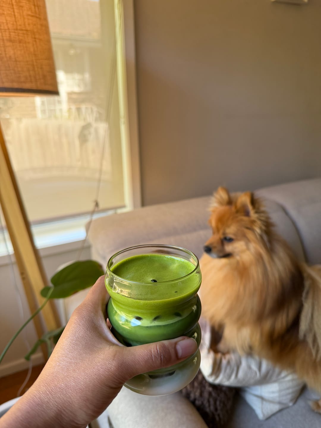 Customer photo review of The Masterpiece - Daily Ceremonial Matcha