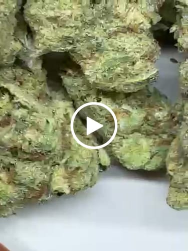 Customer video review of Value Indoor Smalls