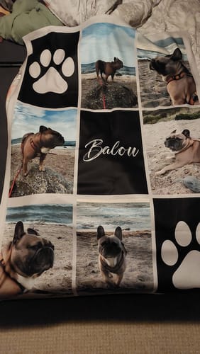 Customer photo review of Personalisierte Decke – Mehrfarbiges Haustierfoto mit Name und Initiale