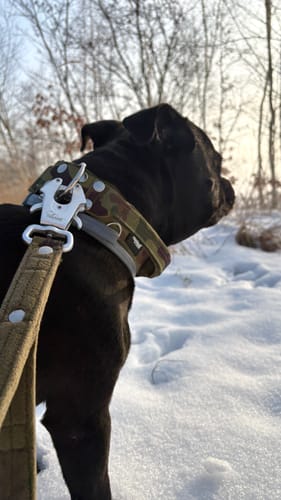 Customer photo review of Szeroka obroża z klamrą extreme - Extreme Buckle Camo Green