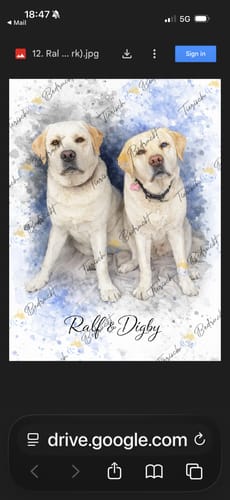 Customer photo review of Your Dog as Watercolor Portrait