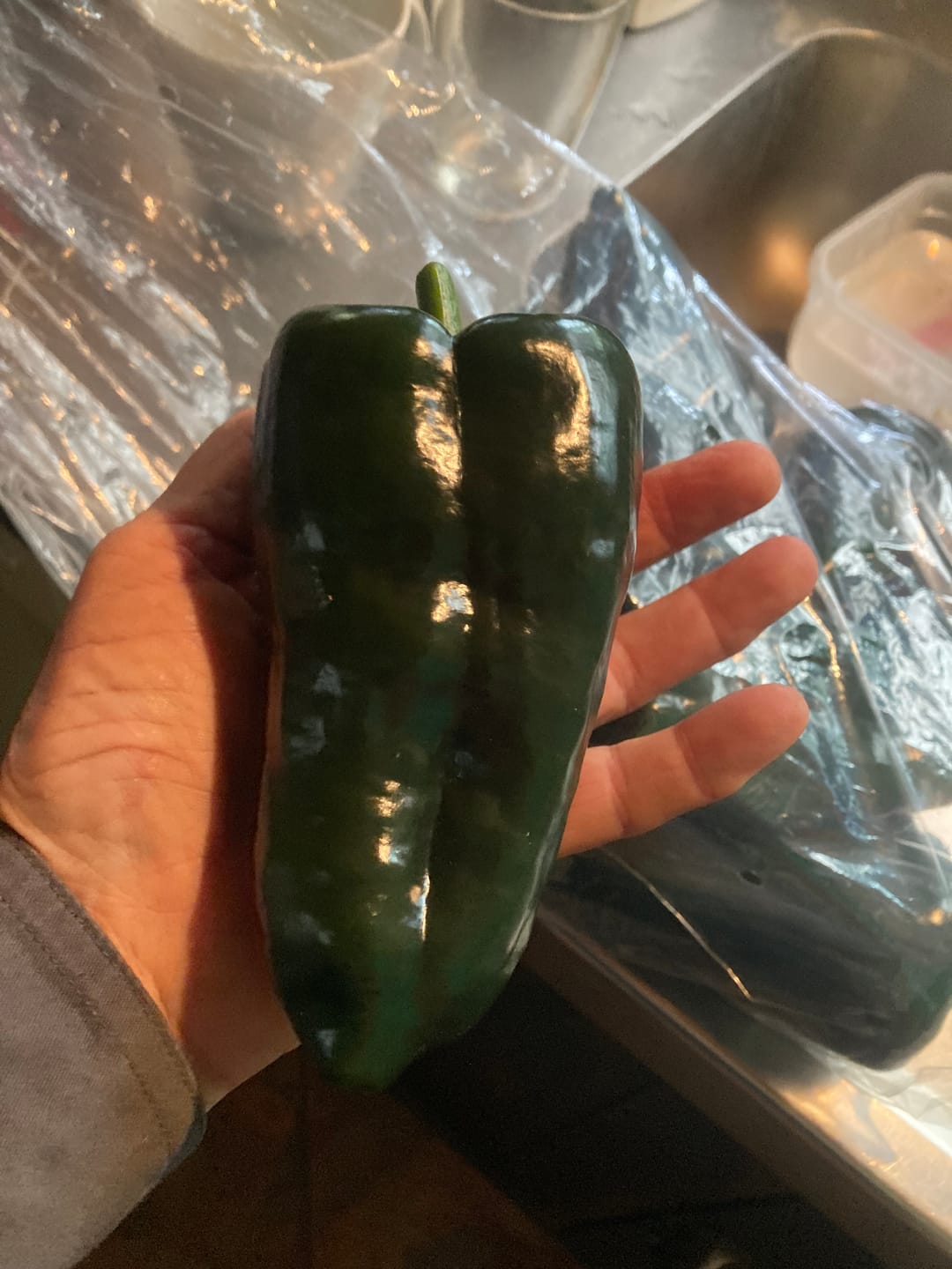Customer photo review of Fresh Poblanos Chillies
