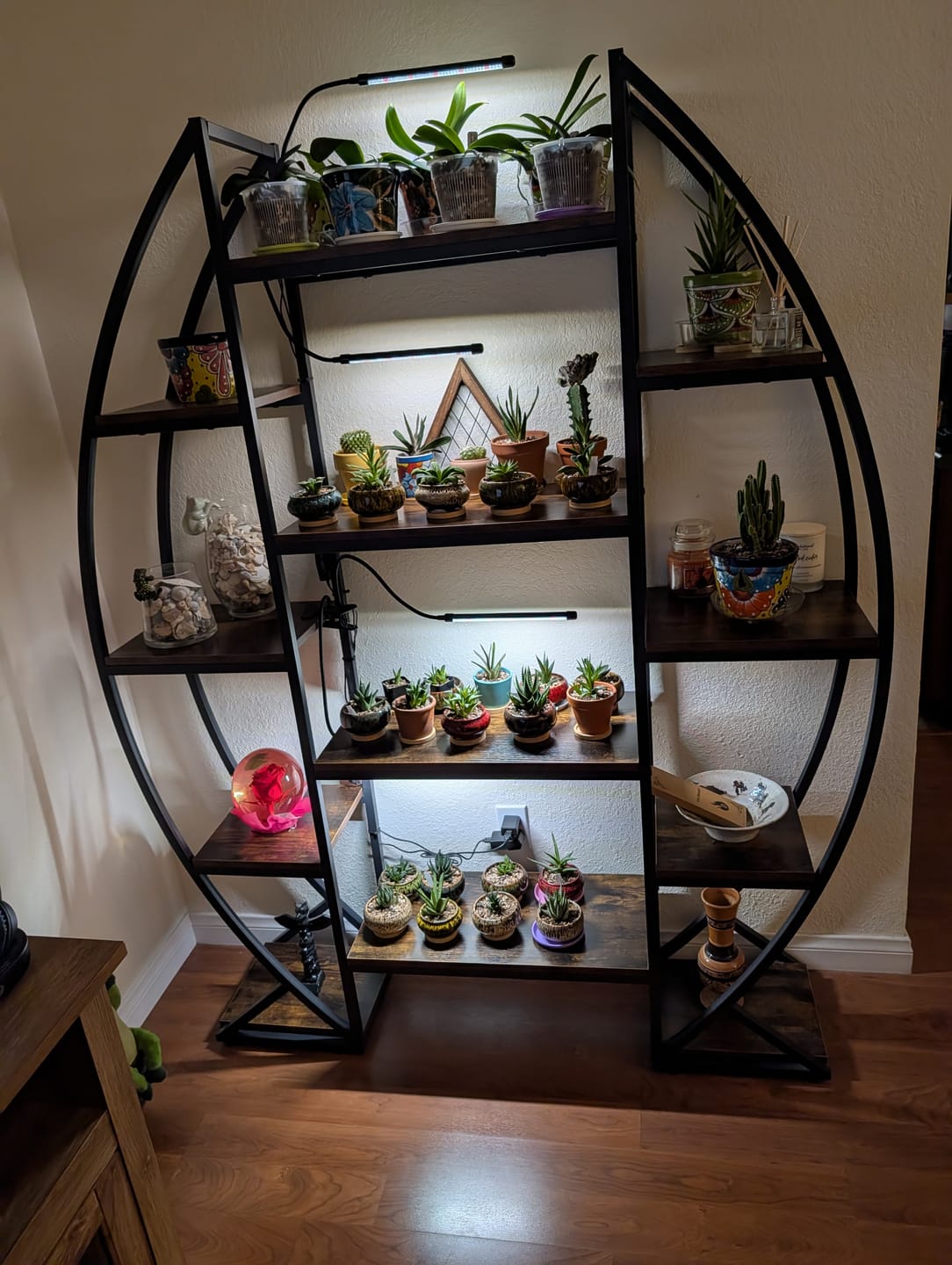 Customer photo review of B Quality Greenhouse Mix 10 Plant Pack
