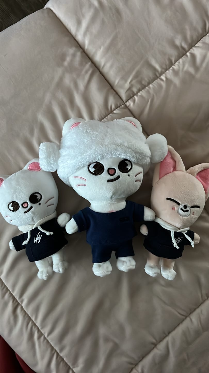 Customer photo review of STRAY KIDS - SKZ'S MAGIC SCHOOL OFFICIAL MD SKZOO PLUSH ORIGINAL VER.