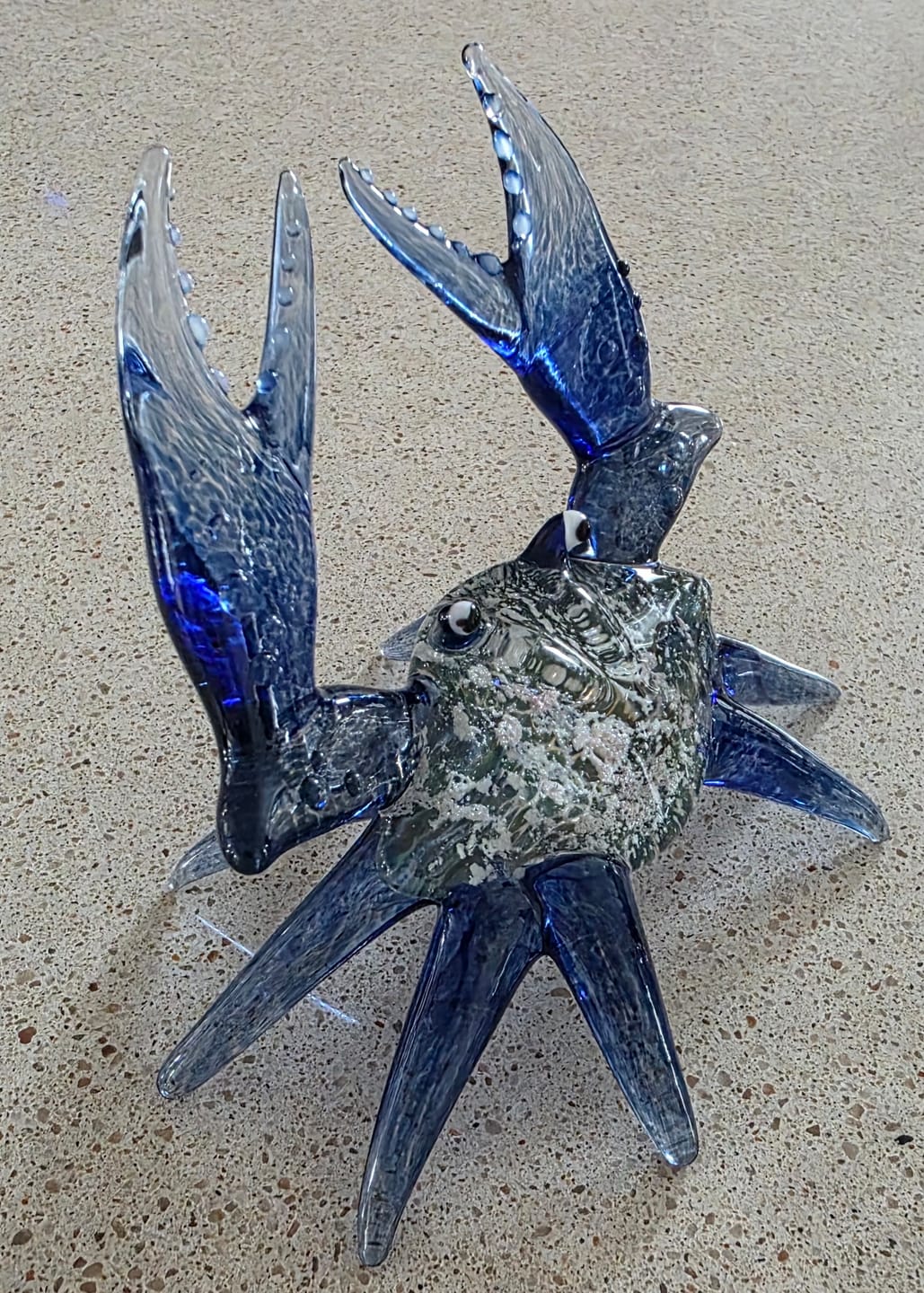 Customer photo review of Memorial Crab with Cremation Ash