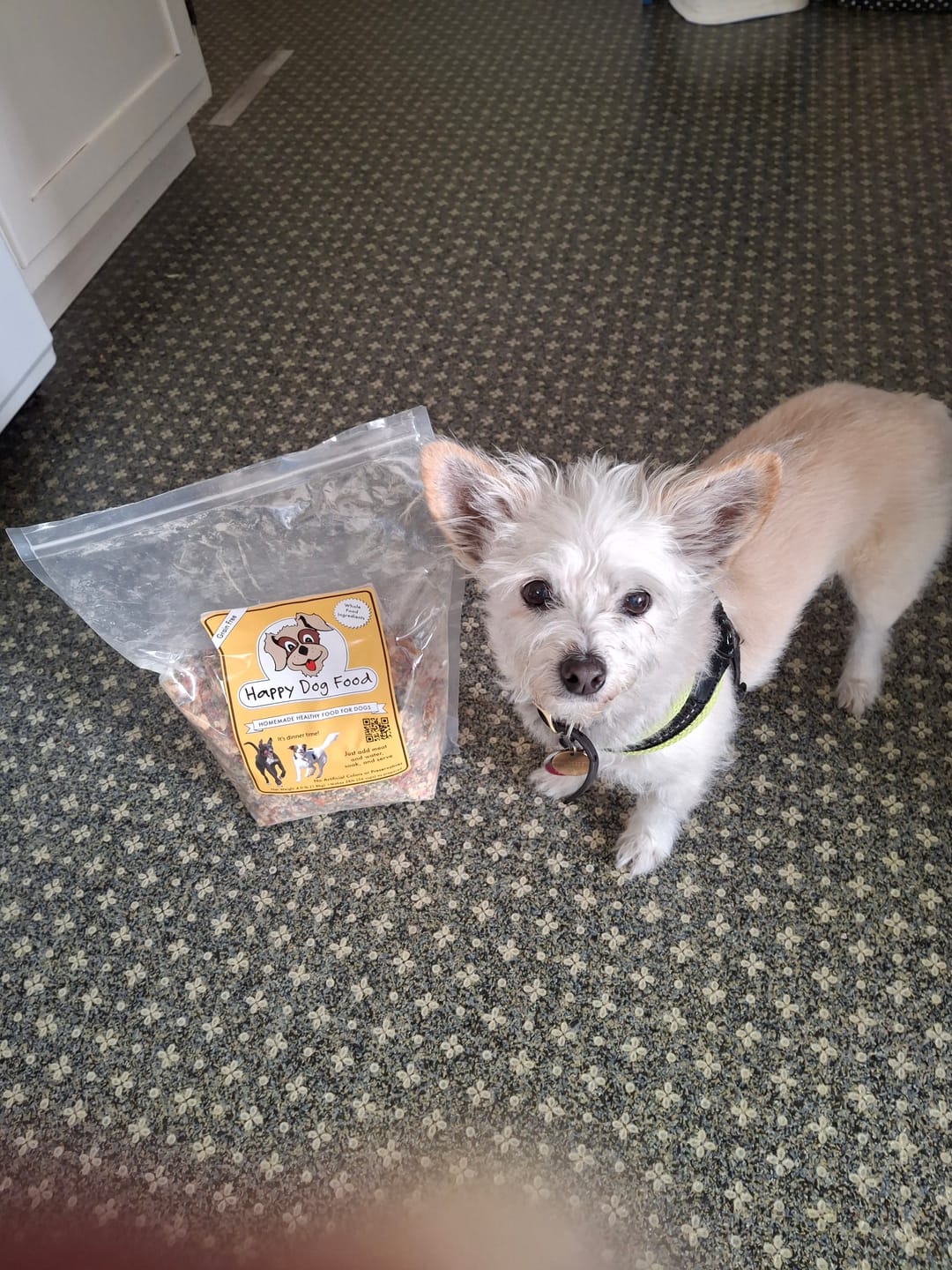 Customer photo review of Vitality Grain Free