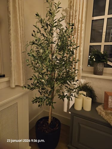 Customer photo review of Kunst Olijfboom 180cm