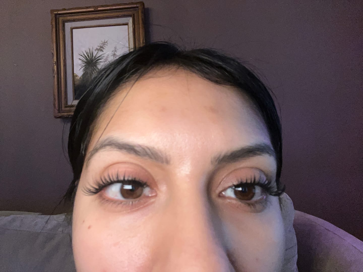 Customer photo review of Crown