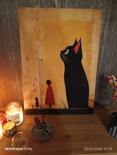 Recensione con foto di un cliente su Il Gatto Gigante