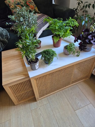 Customer photo review of TROMSO - Set de 2 tables basses gigognes en rotin et plateau effet marbre