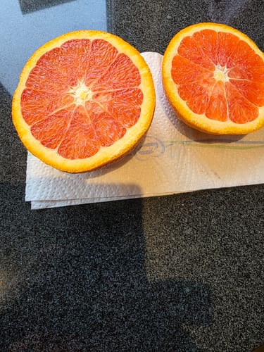 Ein Kunde zeigt eine aufgeschnittene, saftige Orange mit rotem Fruchtfleisch aus der Bio Orangen-Mixbox.