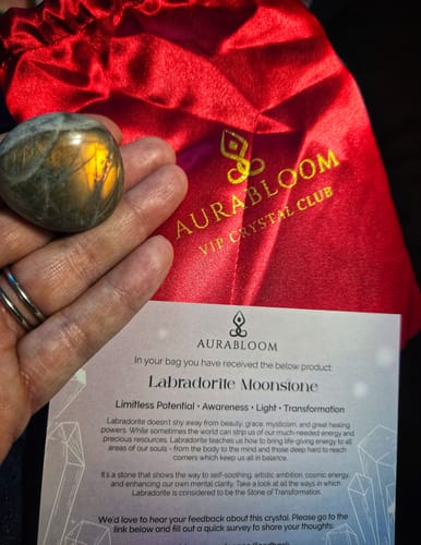 Reviewer holding a polished Labradorite crystal from the VIP Crystal Club, with the red pouch and info card included.