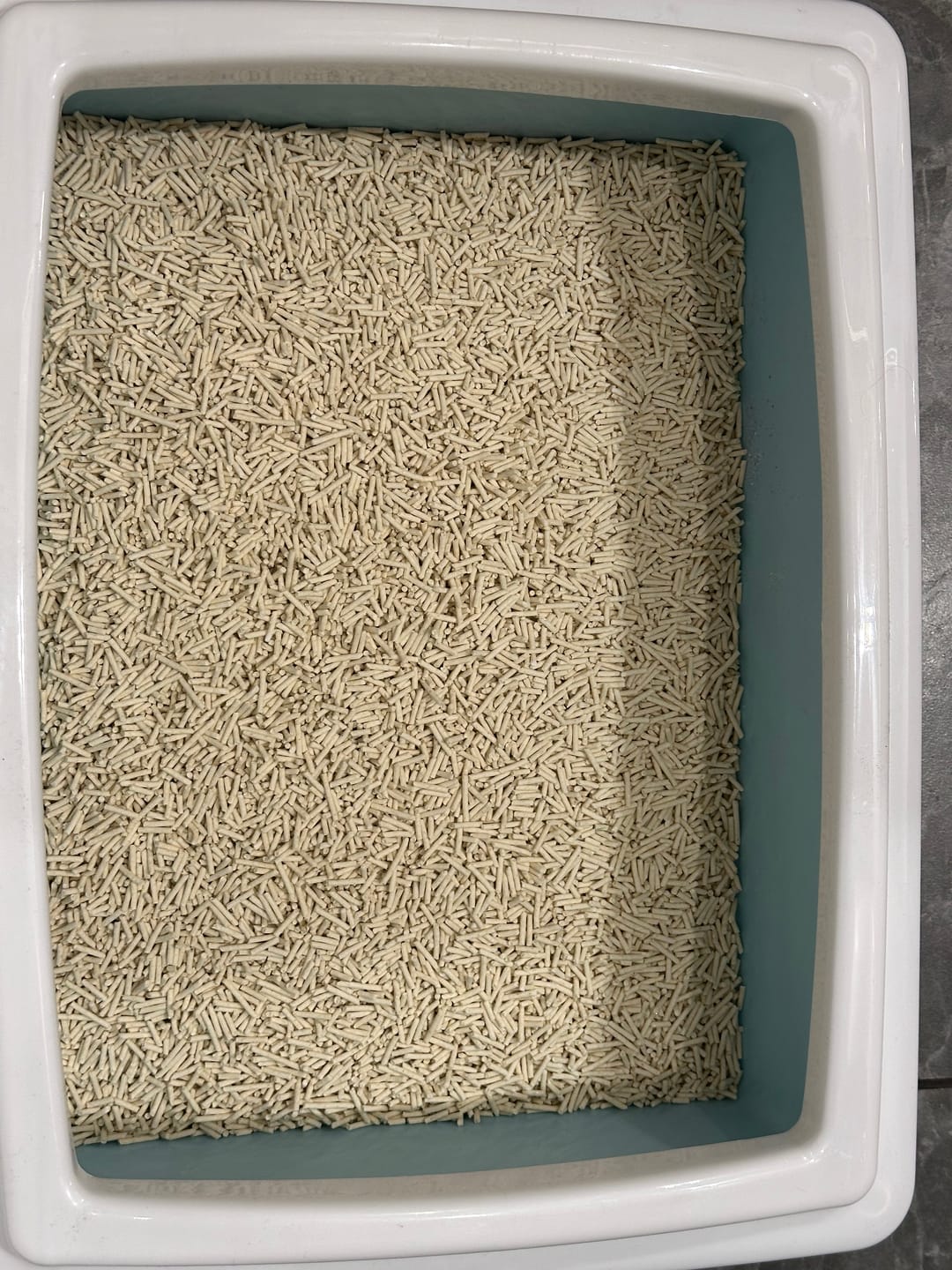 Customer photo review of SAGAPO Żwirek tofu dla kota zbrylający Naturalny 2,5 kg