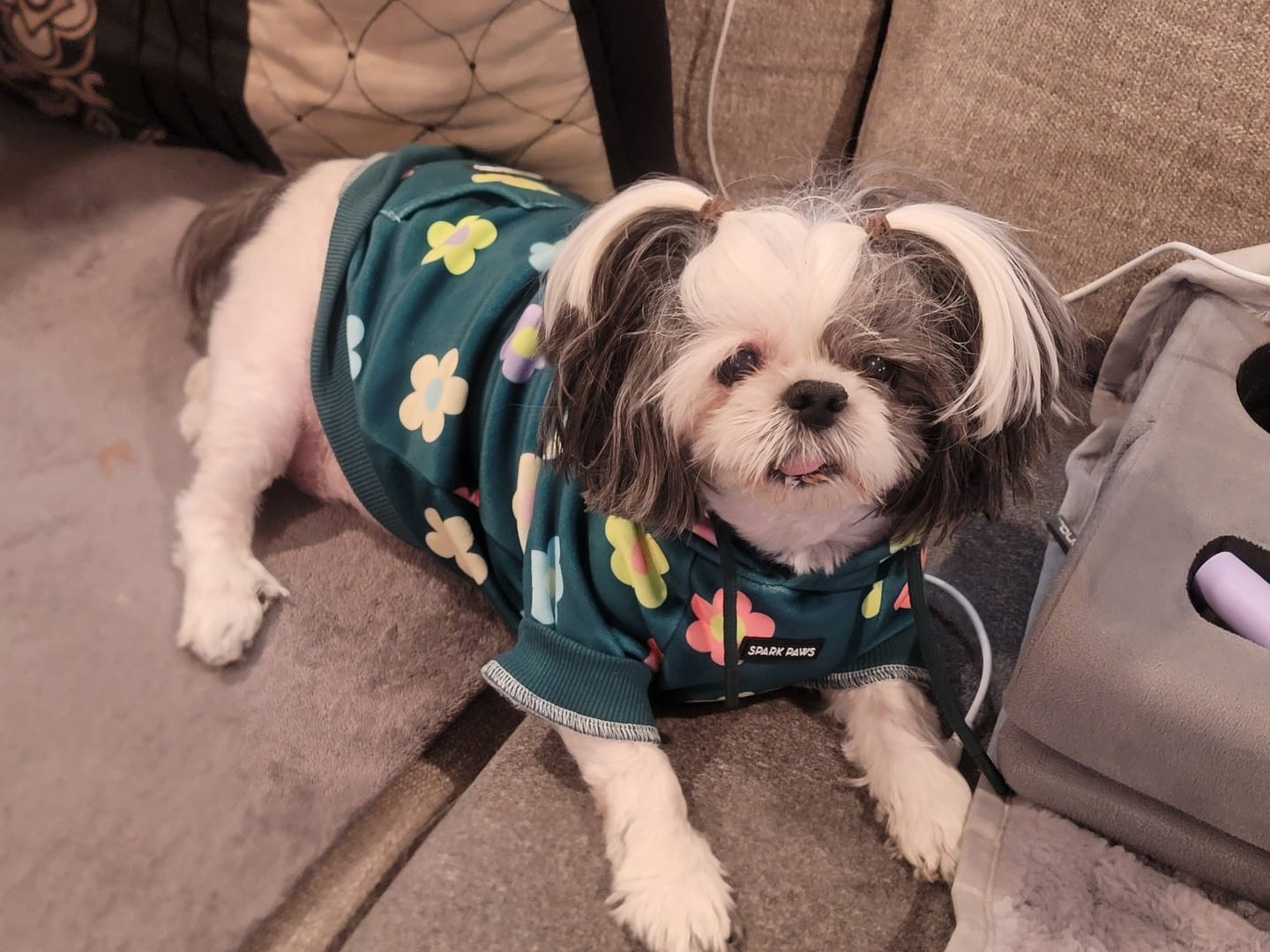 Customer photo review of Daisy Dog Hoodie - Green