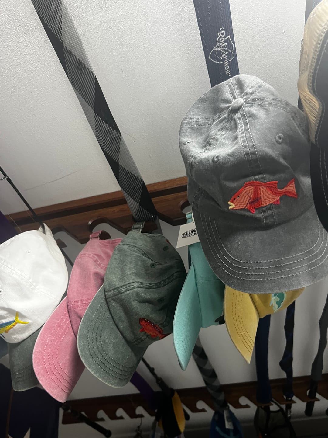 Customer photo review of Coral Trout Lid