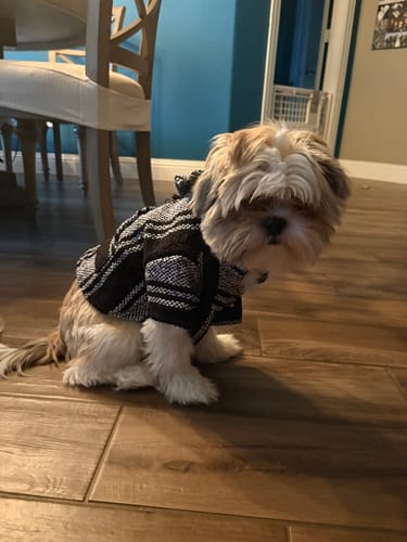 Customer photo review of Playa Poncho – Killer Whale