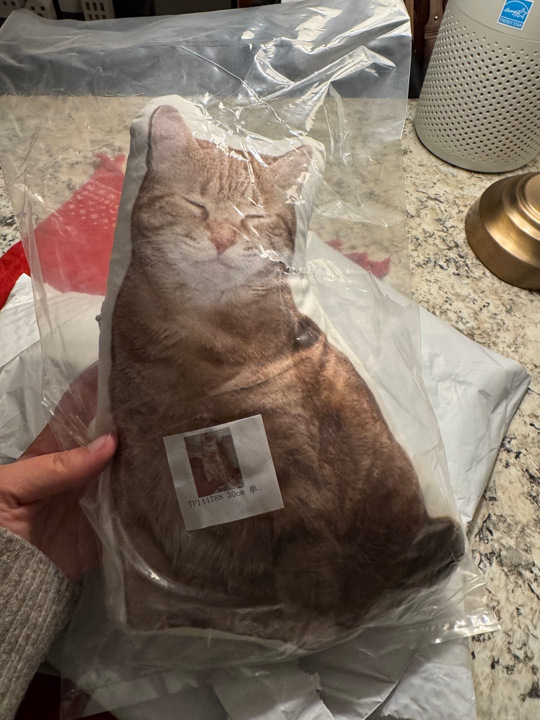 Customer photo review of Custom Pet Shaped Pillow that Look Like your Pet - ThePetPillow
