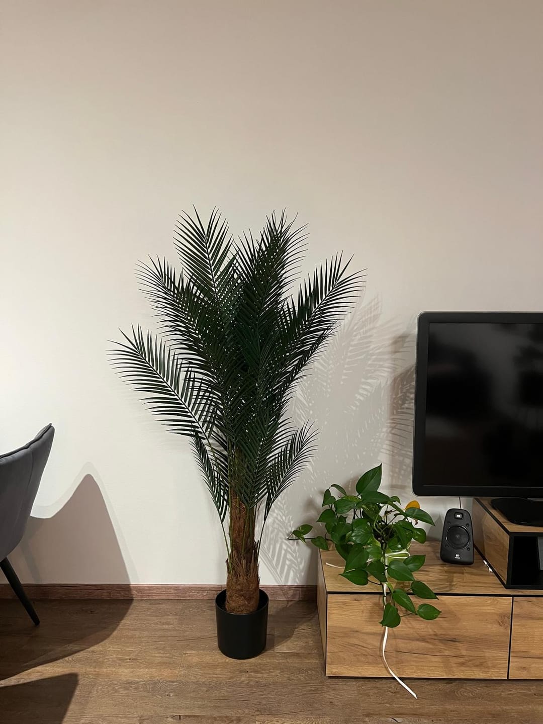 Customer photo review of Palme Kunstpflanze 150cm