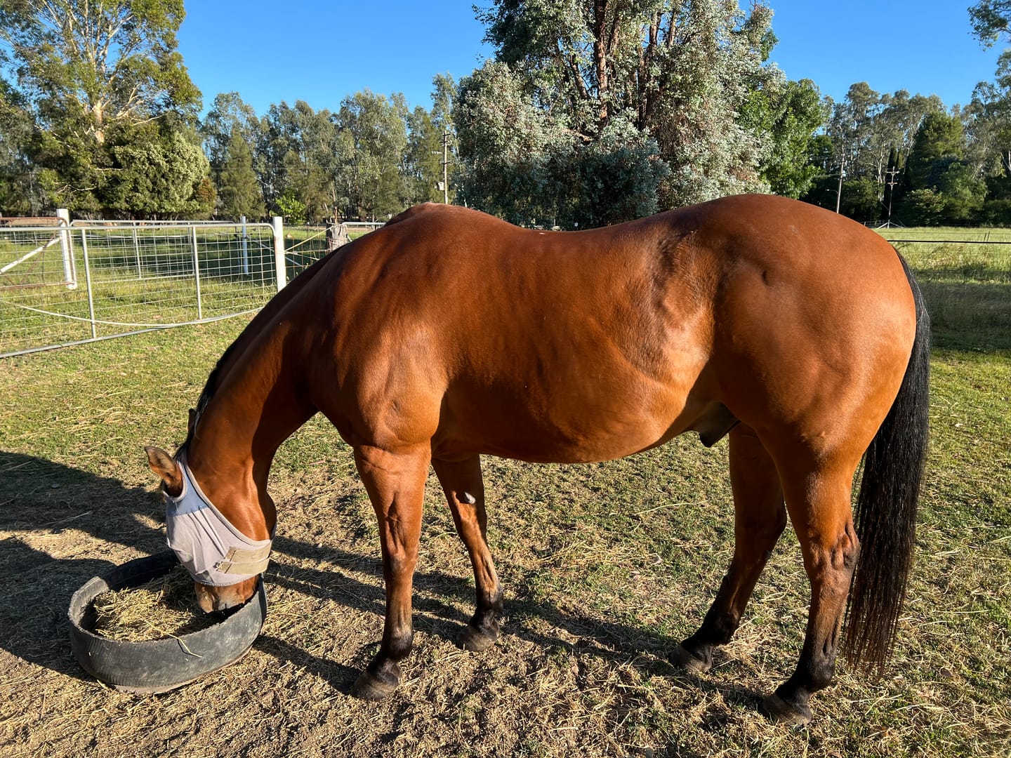 Customer photo review of Digestive EQ