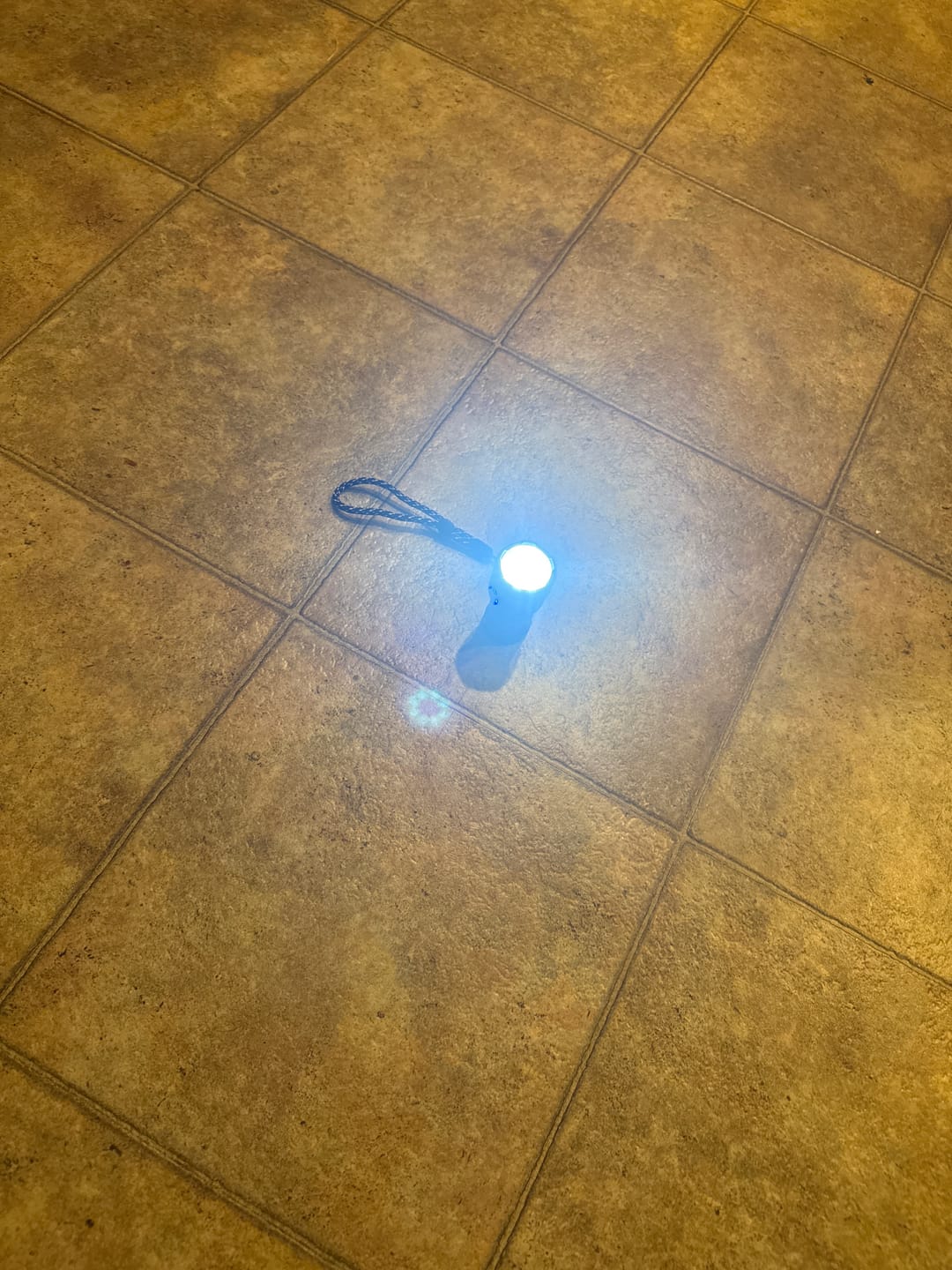 Customer photo review of Nuke Light