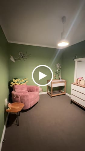 Customer video review of Pick 4 Australian Animal Wall Stickers
