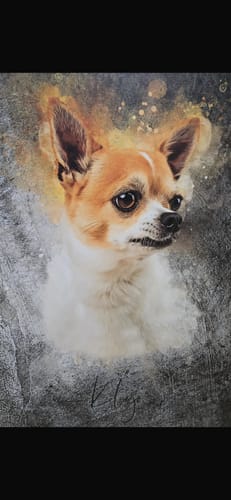 Customer photo review of Foto de tu mascota en estilo acuarela | Regalo para cachorros, perros y gatos