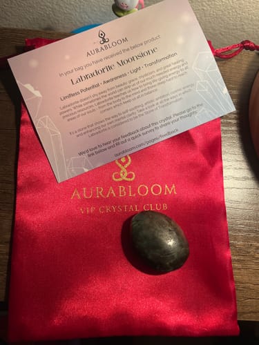Customer's smooth Labradorite Moonstone with the red pouch and info card from the VIP Crystal Club.