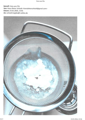 Customer photo review of BIO Milchkefir Starterkultur – 100% lebende Kefirknollen für unendliche Milchkefir-Herstellung