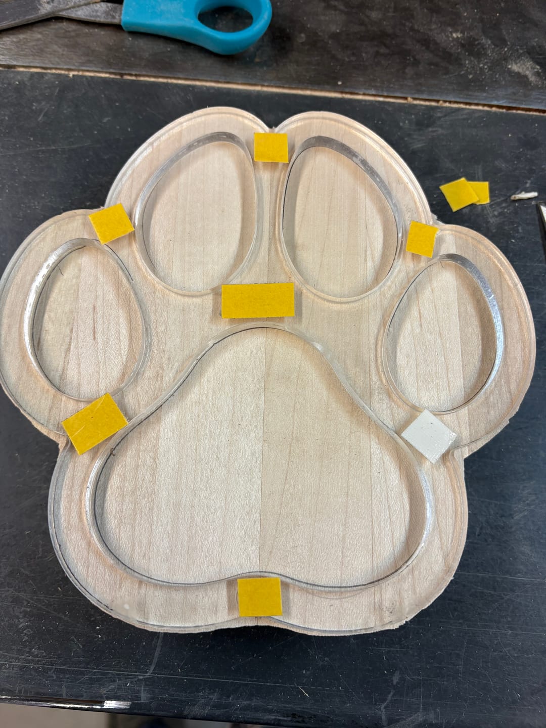 Customer photo review of Dog Paw Print Tray / Inlay Acrylic Router Template