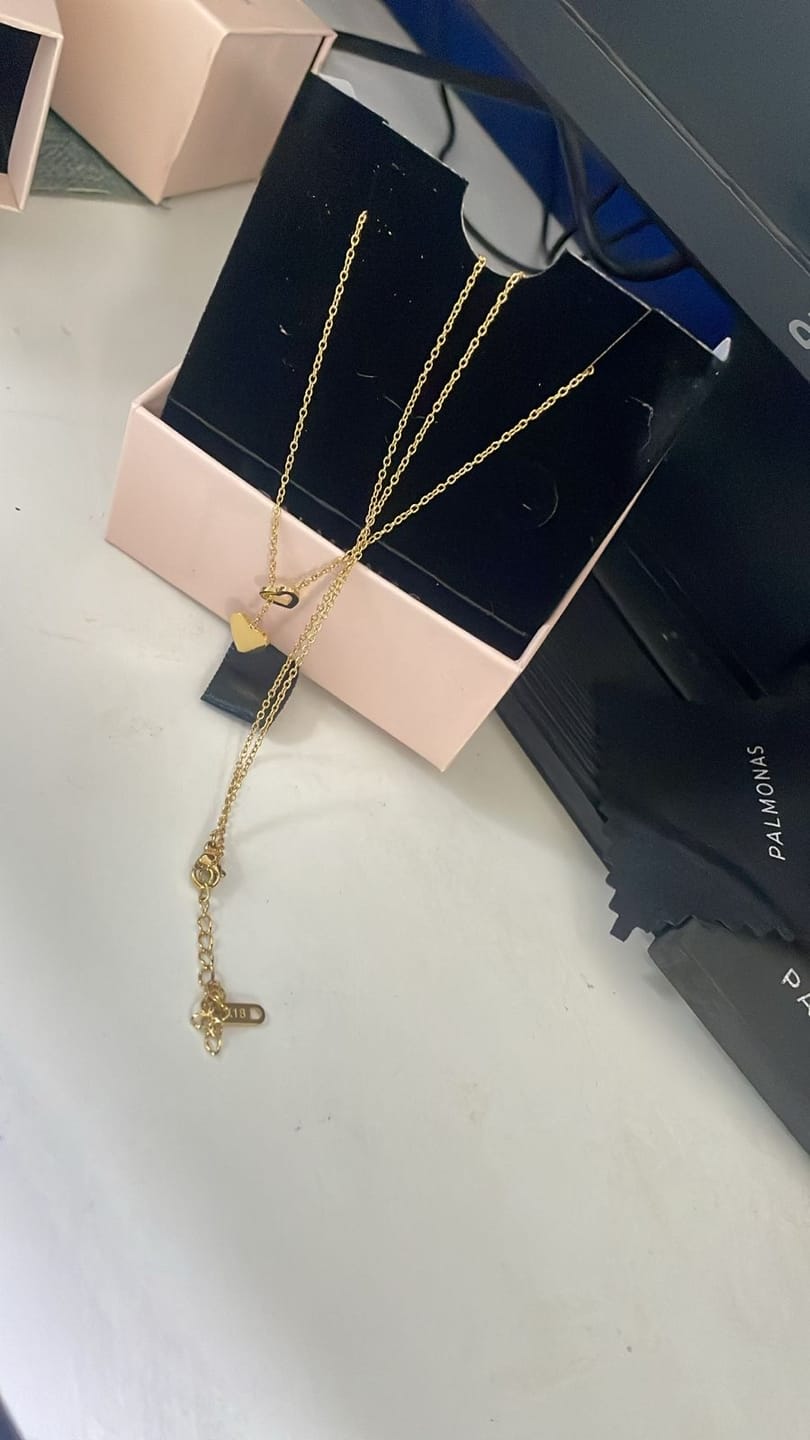 Customer photo review of Two Heart Gold Lariat Necklace
