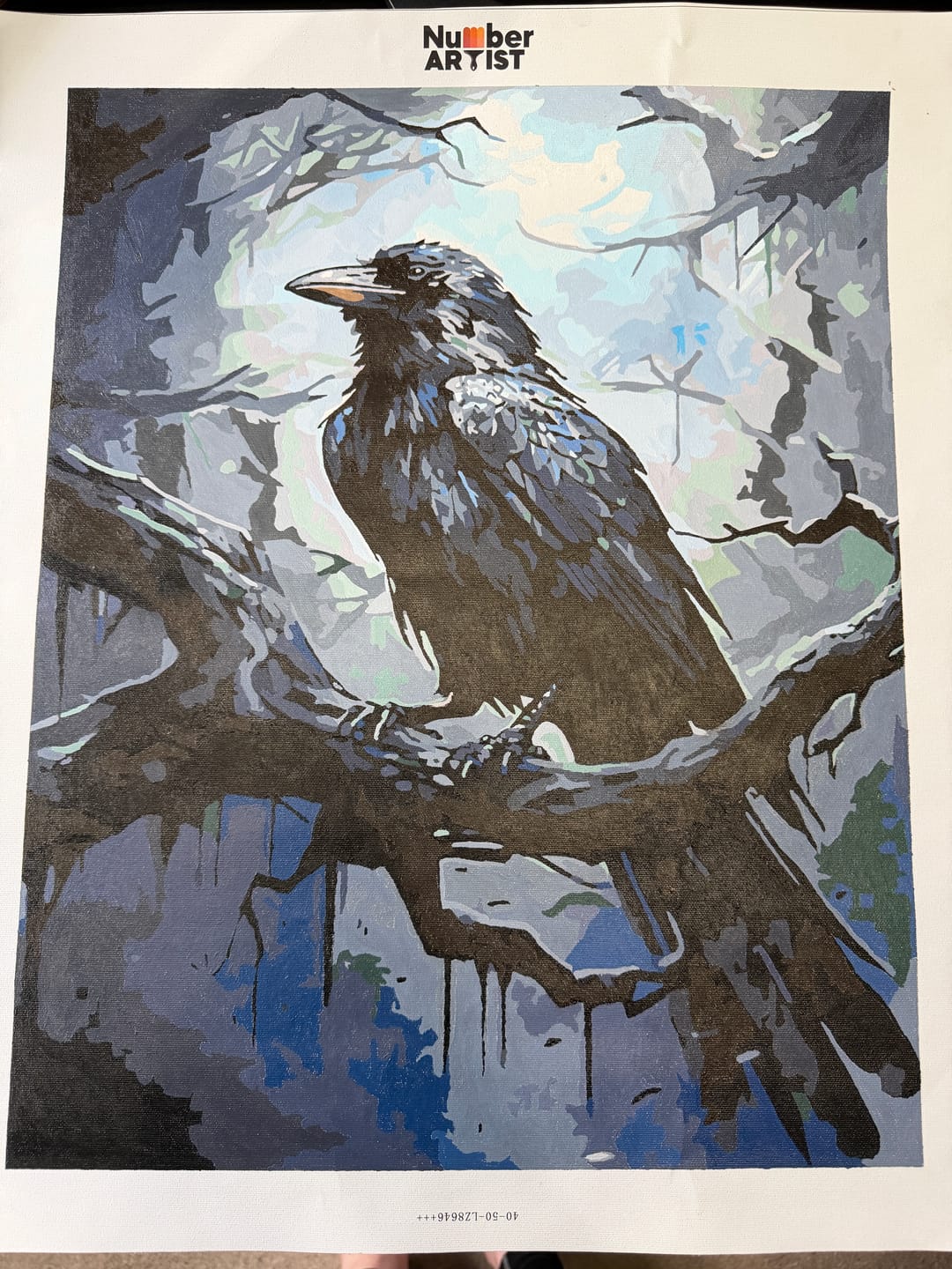 Customer photo review of Mysterious Raven