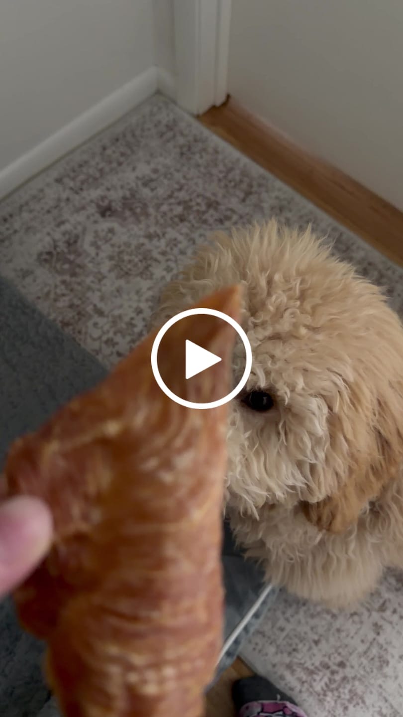 Customer video review of Uncle Justy's Just Chicken